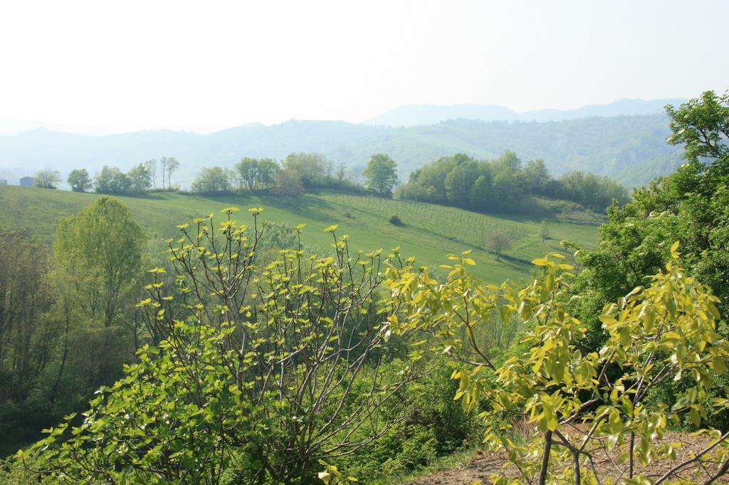 Casa Dell' Abbondanza B&B Agriturismo Vigoleno Extérieur photo