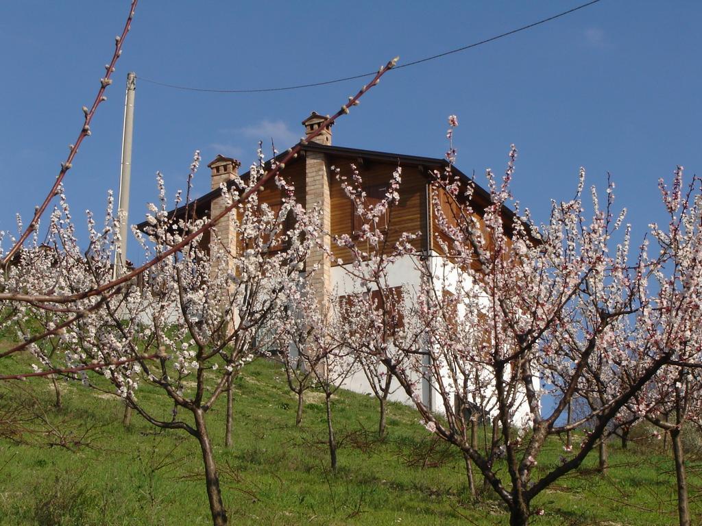 Casa Dell' Abbondanza B&B Agriturismo Vigoleno Extérieur photo