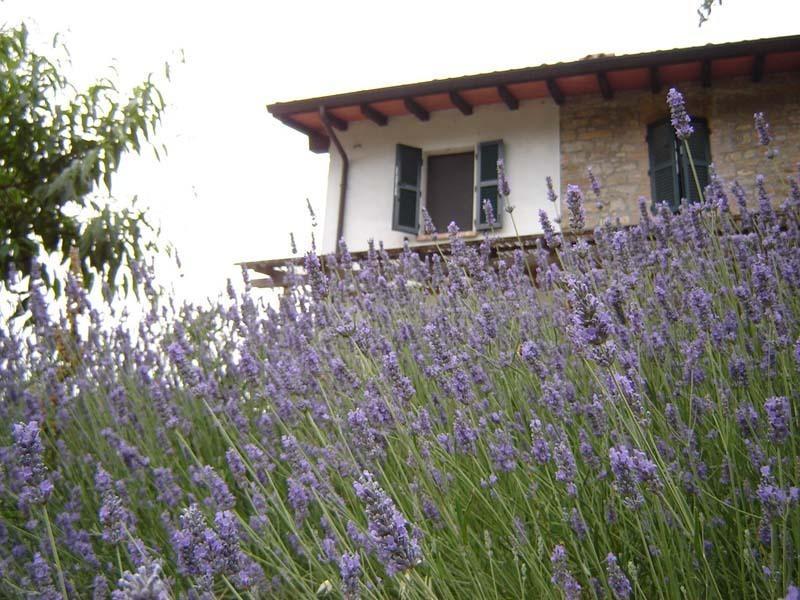 Casa Dell' Abbondanza B&B Agriturismo Vigoleno Extérieur photo